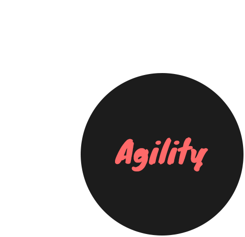 고객의 관점, 최적의 기술, 협업 능력, 오너십이 만나 만드는 민첩성, Agility